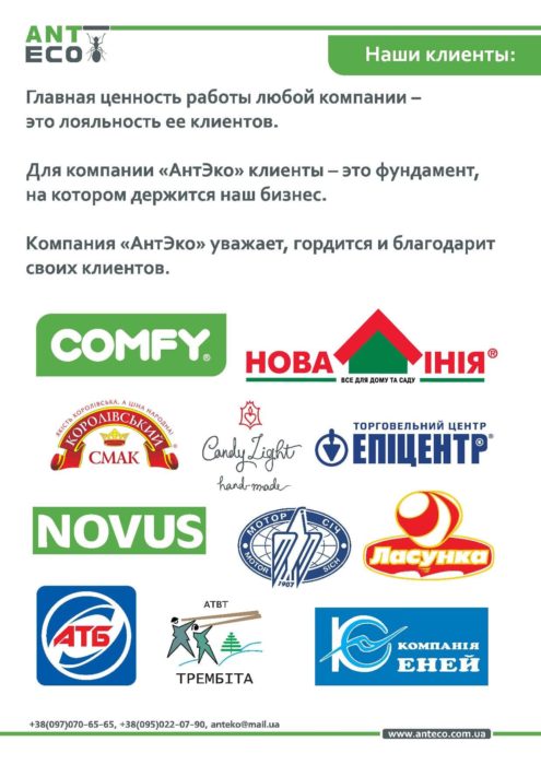 Антеко Презентация